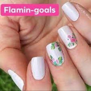 Color Street Flamin-goals Retired Nail Art Design Nail Strips